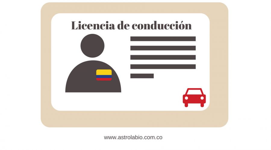 licencia de conduccion